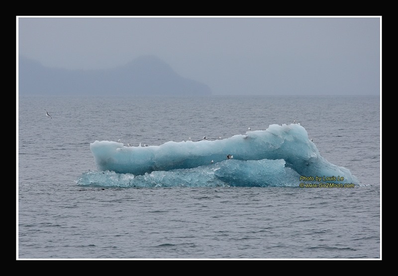 Cordova Iceberg