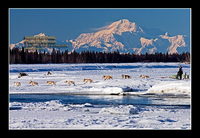 Jim Lanier Iditarod