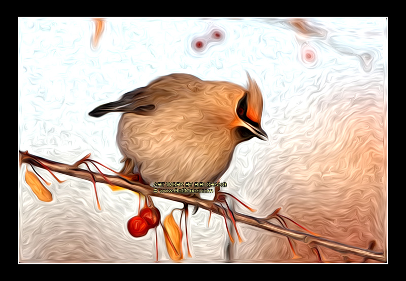 Waxwing Oil Painting