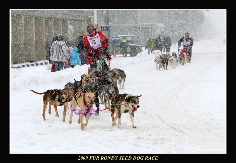 2009 Fur Rondy Sled Dog Race