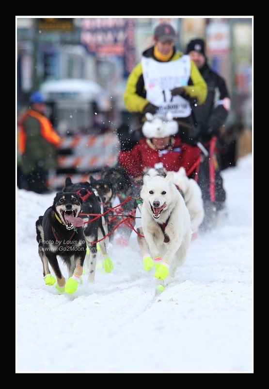 Pat Moon Iditarod