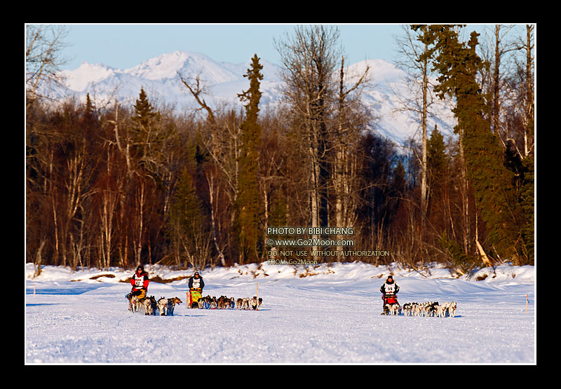 Iditarod Teams