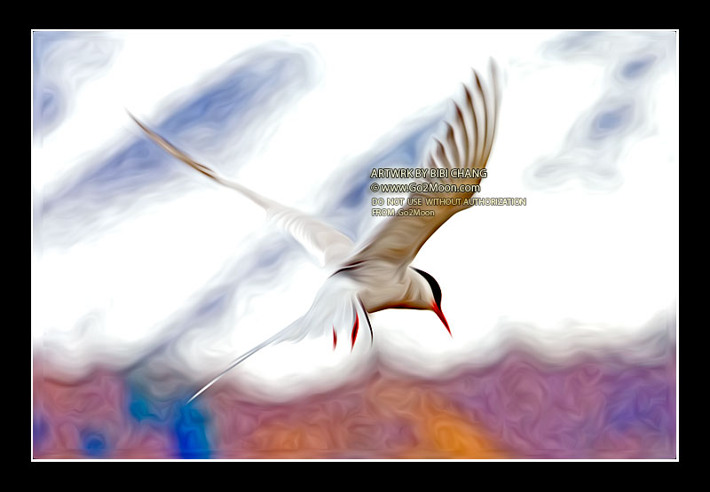 Arctic Tern Oil Painting