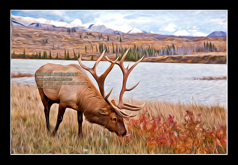 Elk Oil Painting