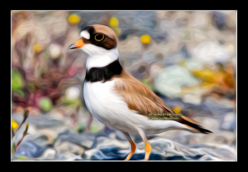 Plover Oil Painting