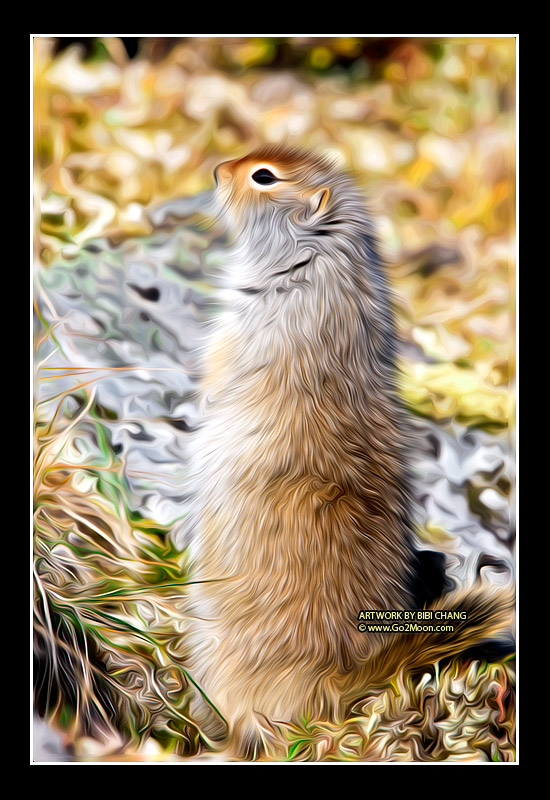 Squirrel Oil Painting