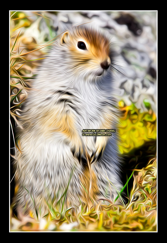 Squirrel Oil Painting