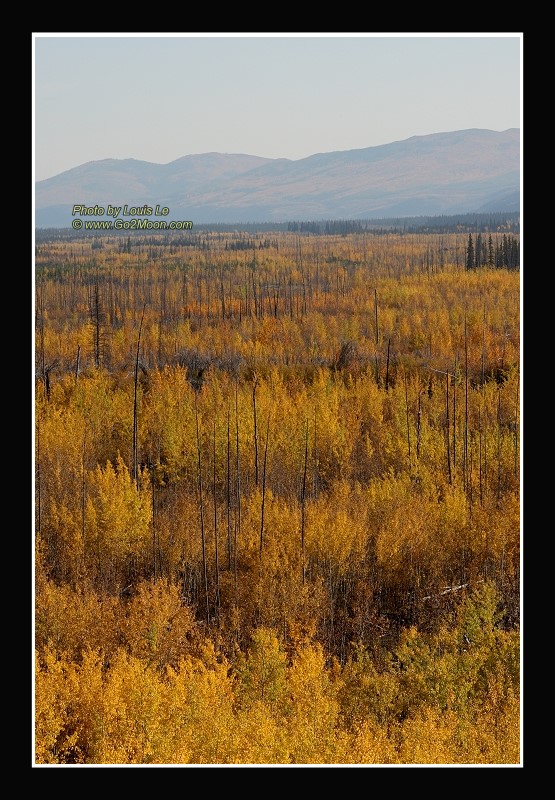 Klondike Highway Landscape